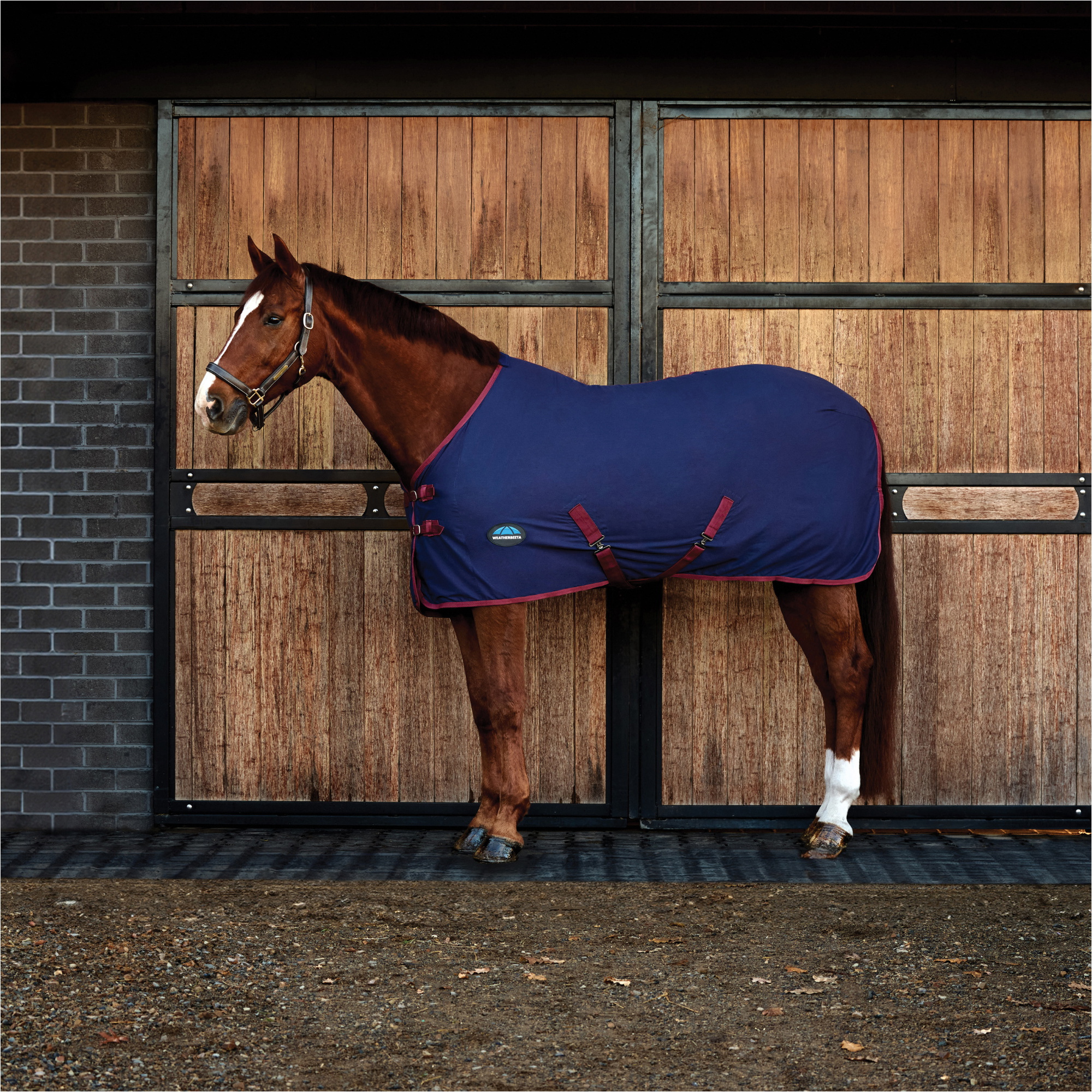 2025 WeatherBeeta Cotton Sheet Standard Neck 1028798 - Navy